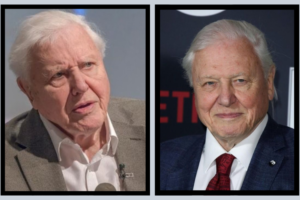 Robert Attenborough: Human Population Biology and Evolutionary Studies