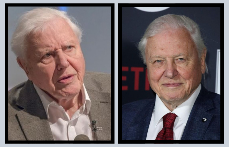 Robert Attenborough: Human Population Biology and Evolutionary Studies