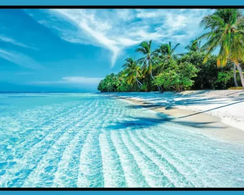 TUI Maldives Holiday Deals with Affordable Packages and Travel Savings Tips