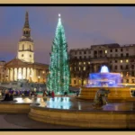 Trafalgar Square Christmas Tree History and Visitor Guide