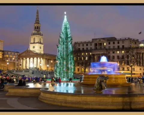 Trafalgar Square Christmas Tree History and Visitor Guide