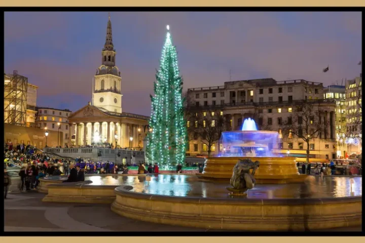 Trafalgar Square Christmas Tree History and Visitor Guide